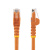 Startech N6PATC1MOR кабельна збірка, 1m, Cat6, Orange RJ45 to Male RJ45 Male